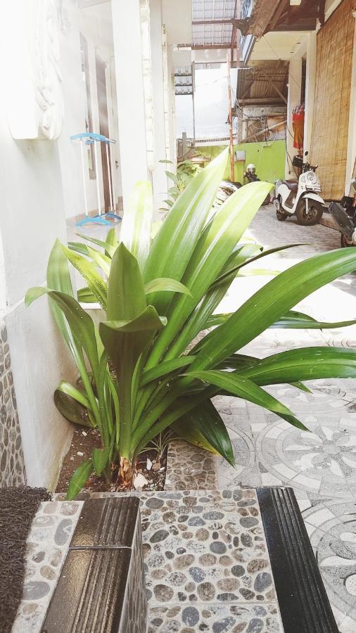 Bali Dd Homestay Seminyak Esterno foto